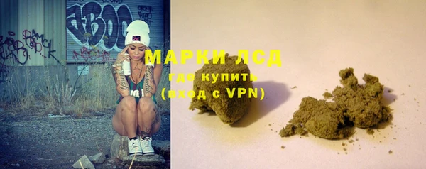 прущие грибы Белоозёрский
