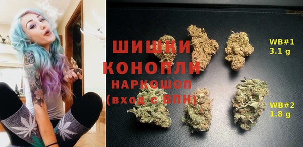 прущие грибы Белоозёрский