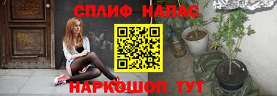 мдпв Партизанск