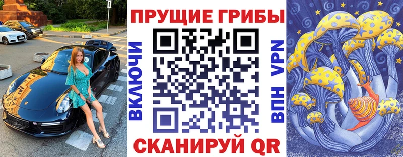 дарнет шоп  Сердобск  Псилоцибиновые грибы прущие грибы 