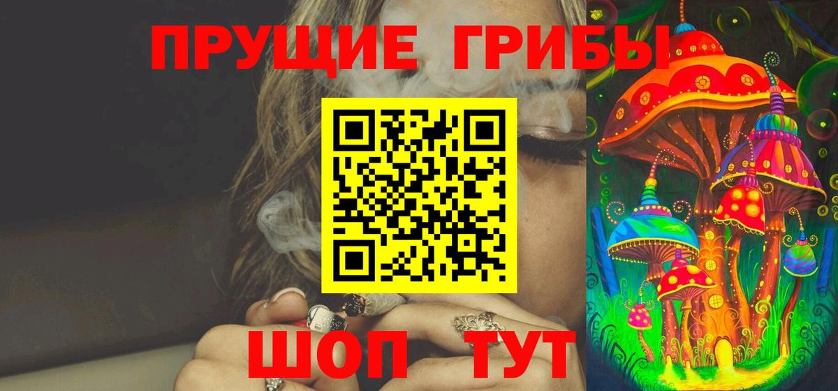 Сердобск  Псилоцибиновые грибы Psilocybine cubensis  Галлюциногенные грибы Psilocybine cubensis  Вход с VPN 